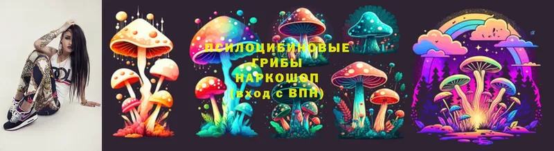 Псилоцибиновые грибы Cubensis  Красноуральск 